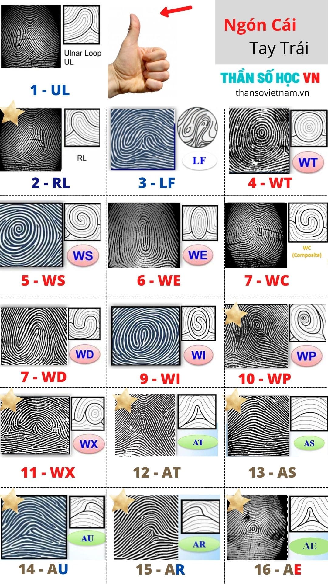Test Sinh Trắc Vân Tay Online