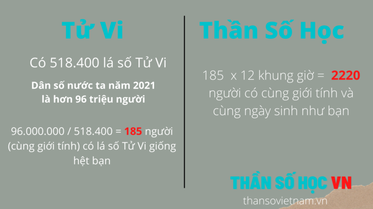 Tử Vi Thần Số Học