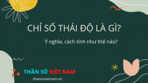 Chỉ Số Thái Độ Là Gì?